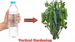 Best Way Of Growing Peas In Plastic bottles // Vertical Gardening // Upside down gardening .