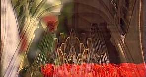 J.S. Bach: Actus Tragicus, Sinfonia -- Thilo Muster in Geneva Cathedral