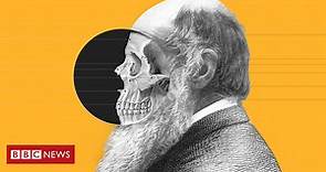 O que é a teoria da evolução de Charles Darwin e o que inspirou suas ideias revolucionárias - BBC News Brasil