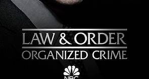 Law & Order: Organized Crime: Season 1 Episode 7 Everybody Takes a Beating Sometime