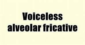 Voiceless alveolar fricative