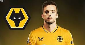 This Is Why Wolves Signed Pablo Sarabia 2023 - Crazy Skills & Goals | HD