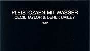 Cecil Taylor & Derek Bailey - Pleistozaen Mit Wasser
