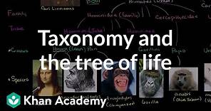 Taxonomy and the Tree of Life