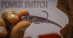 The NEW Berkley PowerBait Power Switch w/ John Hoyer