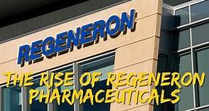 The Rise of Regeneron Pharmaceuticals: Exploring the Company's Success Factors and Stock Valuation