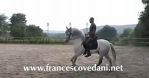 Francesco Vedani Equitazione - Il Galoppo