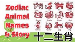 学中文-十二生肖 | Learn Chinese Zodiac Animal Names & Story | 12 animals of Chinese Zodiac for Beginners