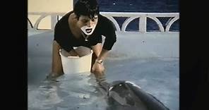 Teaching a dolphin to speak English - The Girl Who Talked to Dolphins: Preview - BBC Four