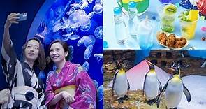 穿浴衣逛水族館、看企鵝吃冰！Xpark一週年新玩法秒飛日本祭典 - 玩咖Playing - 自由電子報