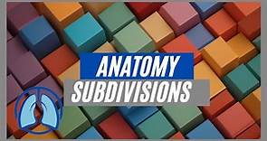 Subdivisions of Anatomy