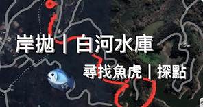 岸拋新手勇闖白河水庫｜魚虎 探點 魚球 護幼 掠食 打龜👀