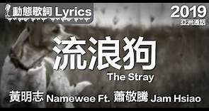 黃明志 Namewee 動態歌詞 Lyrics【流浪狗 The Stray】@亞洲通話 Calling Asia 2019