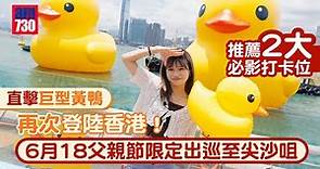 周末好去處｜直擊巨型黃鴨再次登陸香港！ 推薦2大必影打卡位 6月18父親節限定出巡至尖沙咀