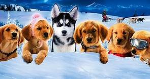 SNOW BUDDIES: Cachorros en la Nieve (Trailer español latino)