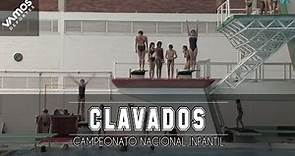 Los Mejores Clavadistas Infantiles en México. Febrero 2015.