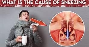 What is the Cause of Sneezing