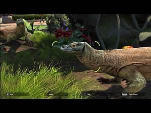 Komodo Dragon | Zoo Tycoon: Ultimate Animal Collection