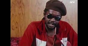 Peter Tosh Live feat Robbie Shakespeare & Sly Dunbar - Mystic Man / Interview
