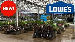 LOWE'S GARDEN CENTER 08/08/2023 | BROWSE WITH ME | AUGUST INVENTORY 2023 #LOWESPLANTS