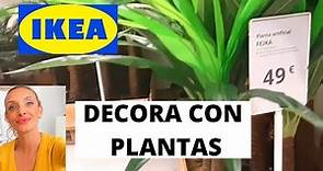 IKEA PLANTAS UNA BUENA OPCION PARA DECORAR TU CASA
