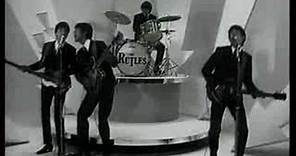 THE RUTLES - Hold My Hand (1963)
