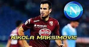 Nikola Maksimovic | Napoli | Goals, Defending Skills 16/17 HD