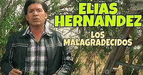 Elias Hernandez - Los Malagradecidos - Video Oficial 2010
