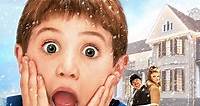 Home Alone 4: Taking Back the House (2002)