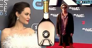 Brad Pitt vs. Angelina Jolie: New BOMBSHELLS in Vineyard Battle
