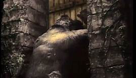 King Kong (1933