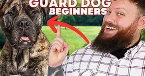 The Best GUARD DOG BREEDS FOR FIRST TIME OWNERS!