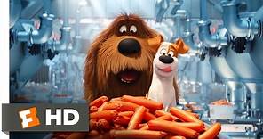 The Secret Life of Pets - Sausage Factory Scene (5/10) | Movieclips