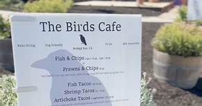 Restaurant Review: The Bird’s Cafe, Bodega Bay, CA. The Bird’s Cafe is off the Highway 1 in Bodega Bay. It features seafood as well as a coffee shop and gift store. We stopped by here several years ago briefly after running the 50K Salt Point Trail Run by PCTR. I knew I wanted to go back while in Bodega Bay because of the Hog Island Sweetwater Oysters. We love Hog Island Oysters. Fun fact: Bodega Bay was featured in the 1963 Alfred Hitchcock horror movie “The Birds.” Thus, the Bird’s Cafe was bo