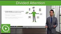 Divided Attention: Definition & Performance Factors – Making Sense of the Environment | Lecturio
