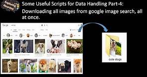 Downloading all images from google image search, all at once