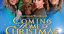 Tornando a casa per Natale - Film (2013)