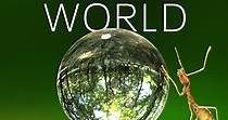 Tiny World - watch tv show streaming online