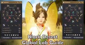 BDO Global Lab guide/ Black Desert Global Lab guide