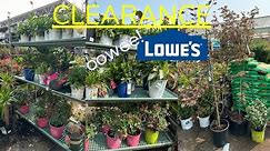 🌻Lowe's Garden Clearance | Shop With Me