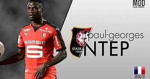 Paul-Georges Ntep | Rennes | Goals, Skills, Assists | 2016/17- HD