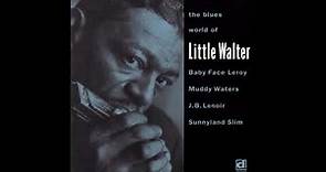 Little Walter- The Blues world of Little Walter
