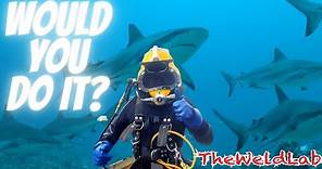$1500 A DAY Welding Underwater |LIFE EXPECTANCY? SHARKS? HOW DEEP?