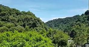 太平山國家森林遊樂區 - 炎炎夏日 之 鳩之澤 的 蟲鳴鳥叫 📊太平山唯一官網：...