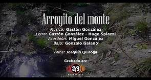 Arroyito del monte - Gastón González