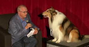 Lassie Interviewed Before Lassie Come Home (1943)