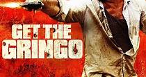 Get the Gringo - movie: watch streaming online