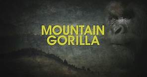 Vegas PBS:Mountain Gorilla Promo