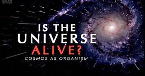The Living Universe - Documentary about Consciousness and Reality | Waking Cosmos