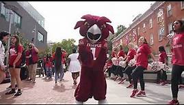 2023 Year In Review: Temple University Alumni Association